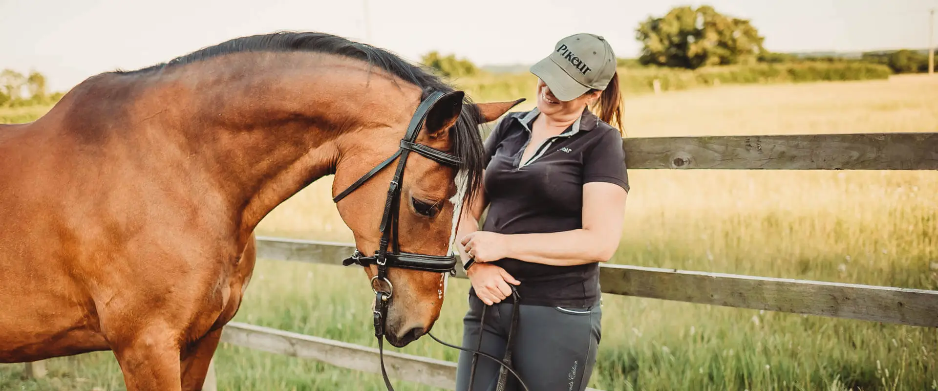 My Equestrian life