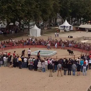 Manade Tournebelle