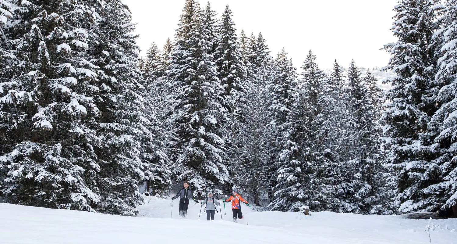 Esf Les Houches