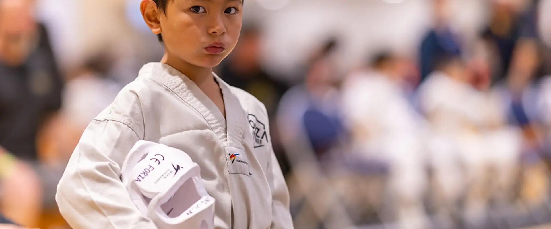 Forza Taekwondo