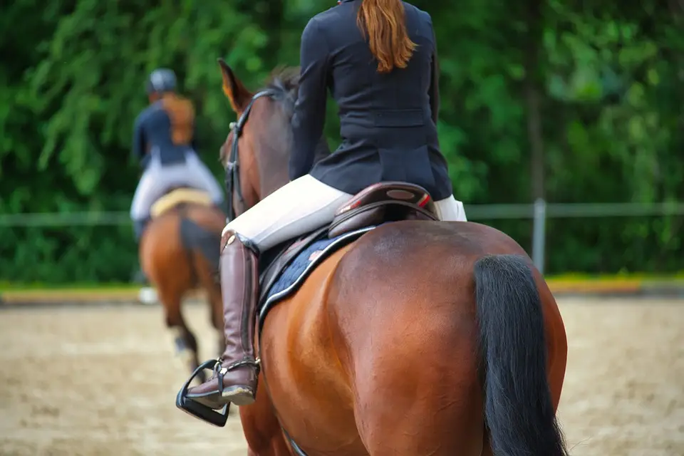Stanbeck Stables - P.R.S.