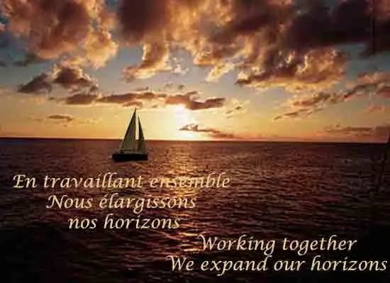 Ynot Sailing