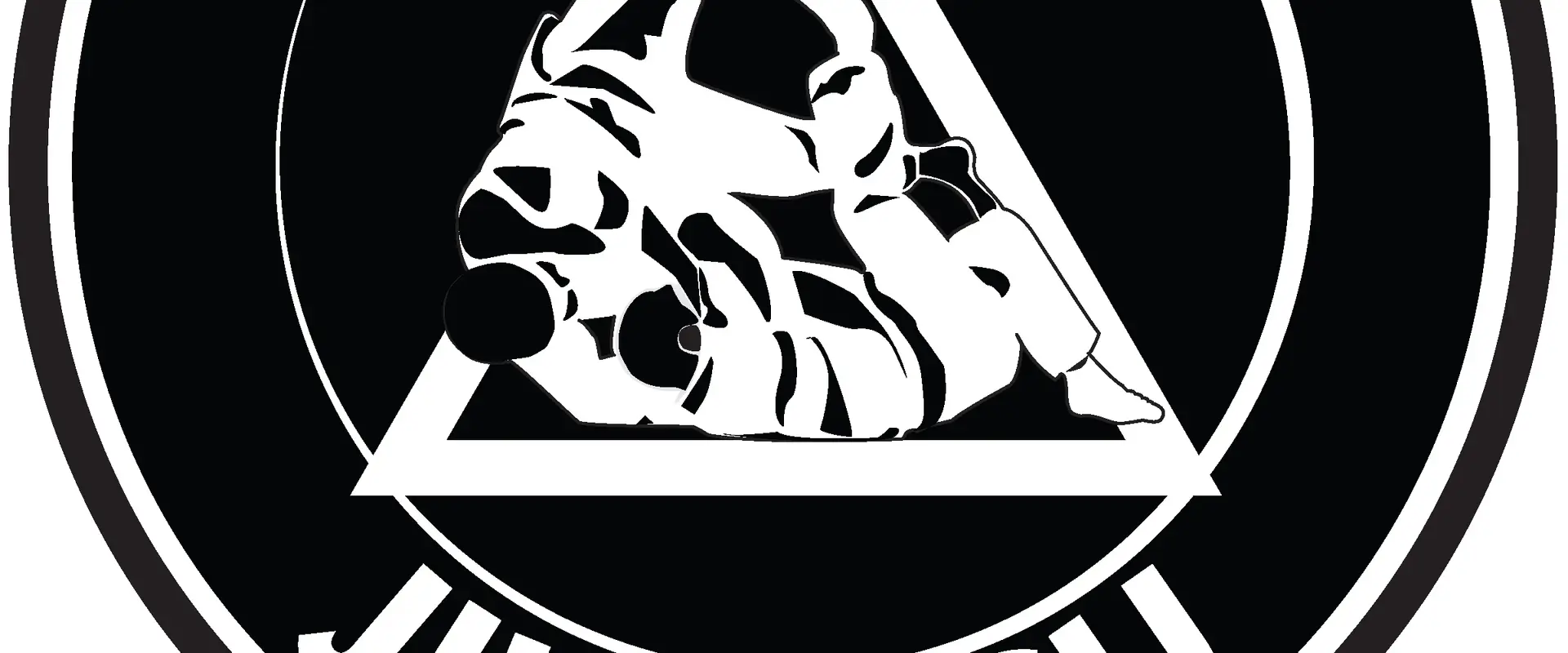 Lions MMA Jiu Jitsu