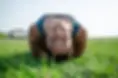 Pyaar Yoga Cours Particuliers Le Bouscat Mérignac Bordeaux