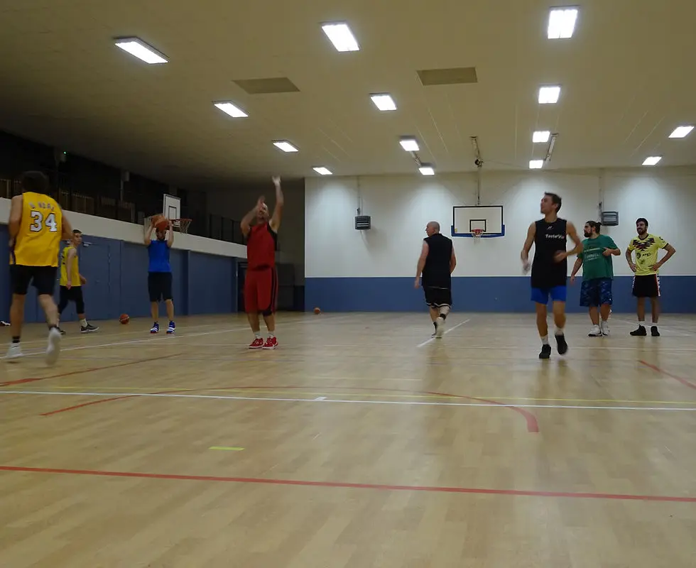 ALSN Basket