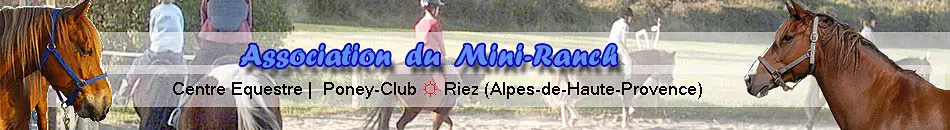 Riding School And Pony Club