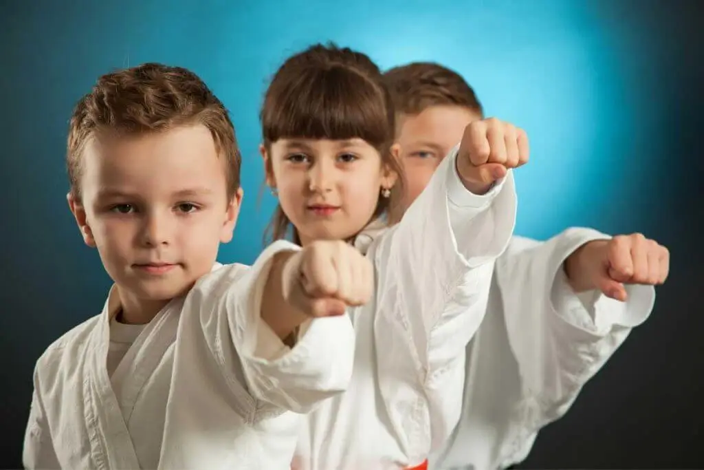 Little Lions Karate