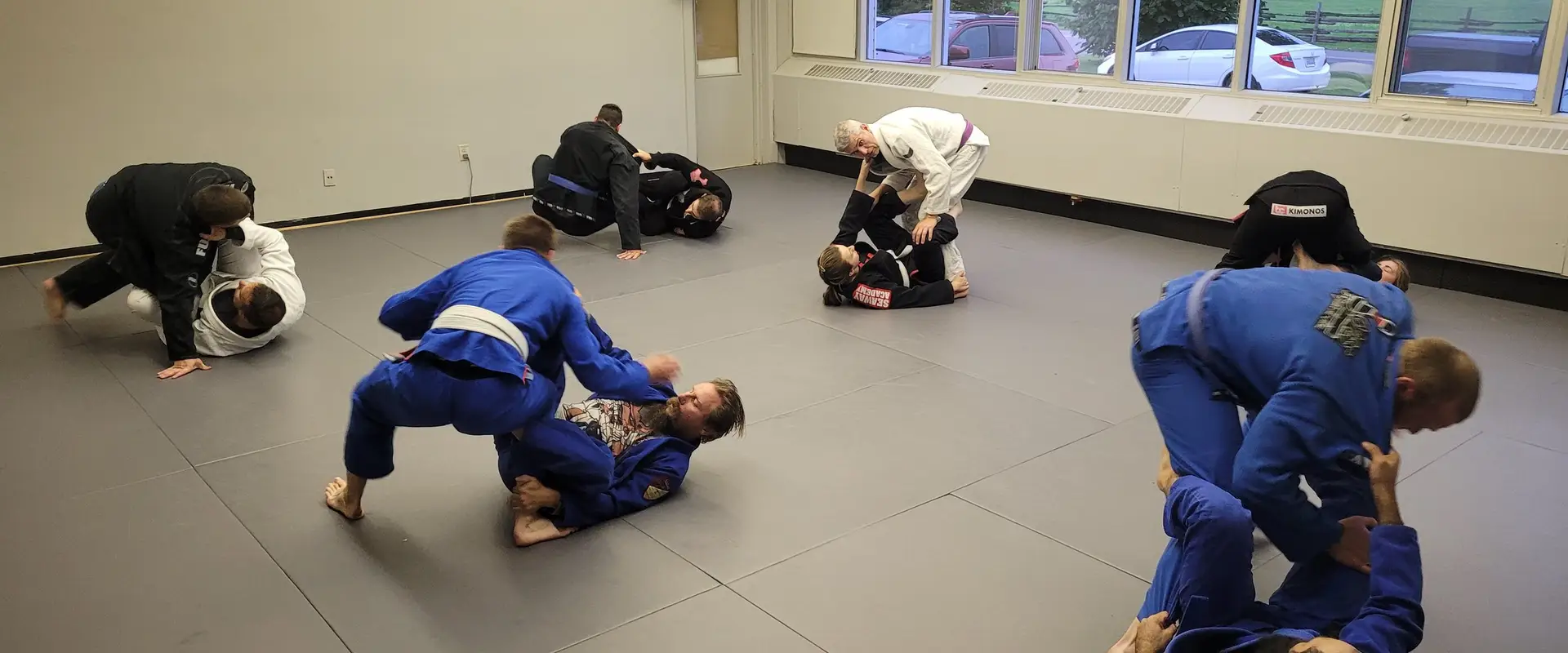 Lopes Brazilian Jiu-Jitsu