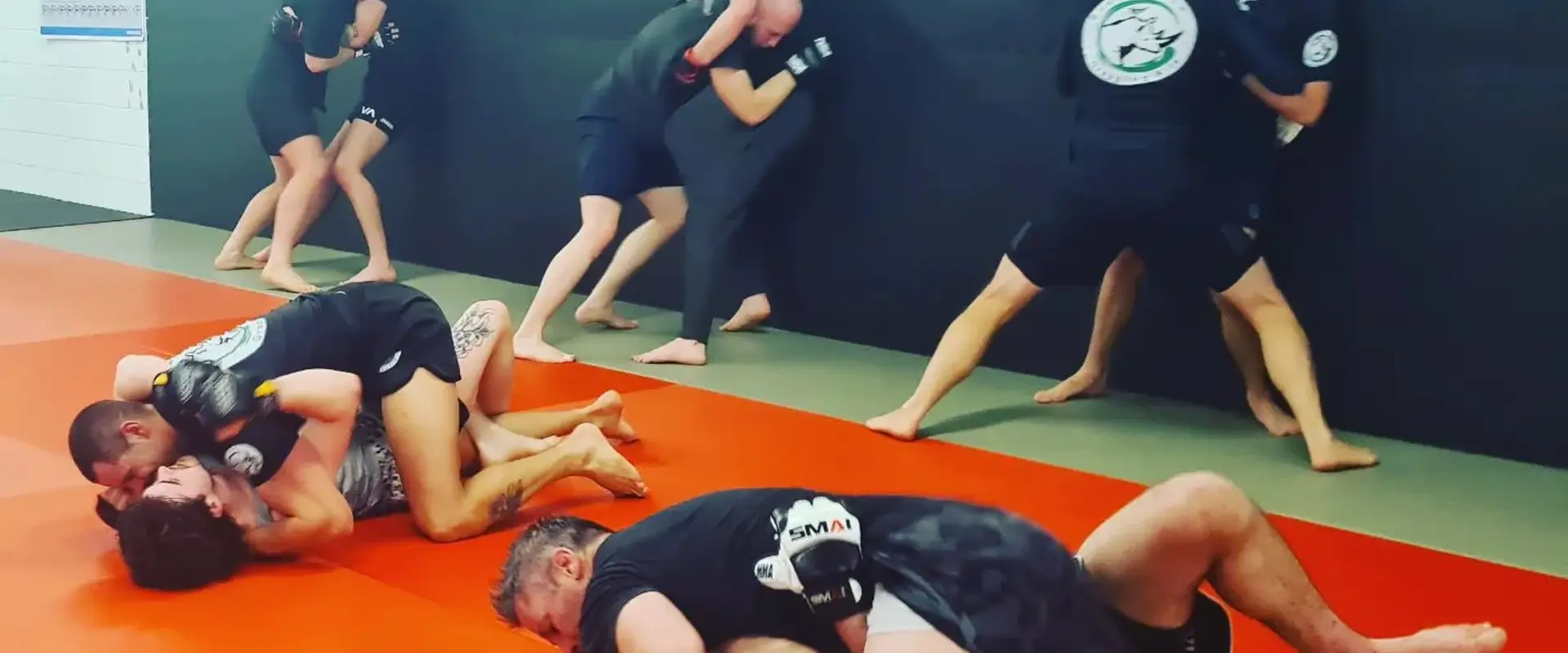 Bushido Flow Grappling Arts