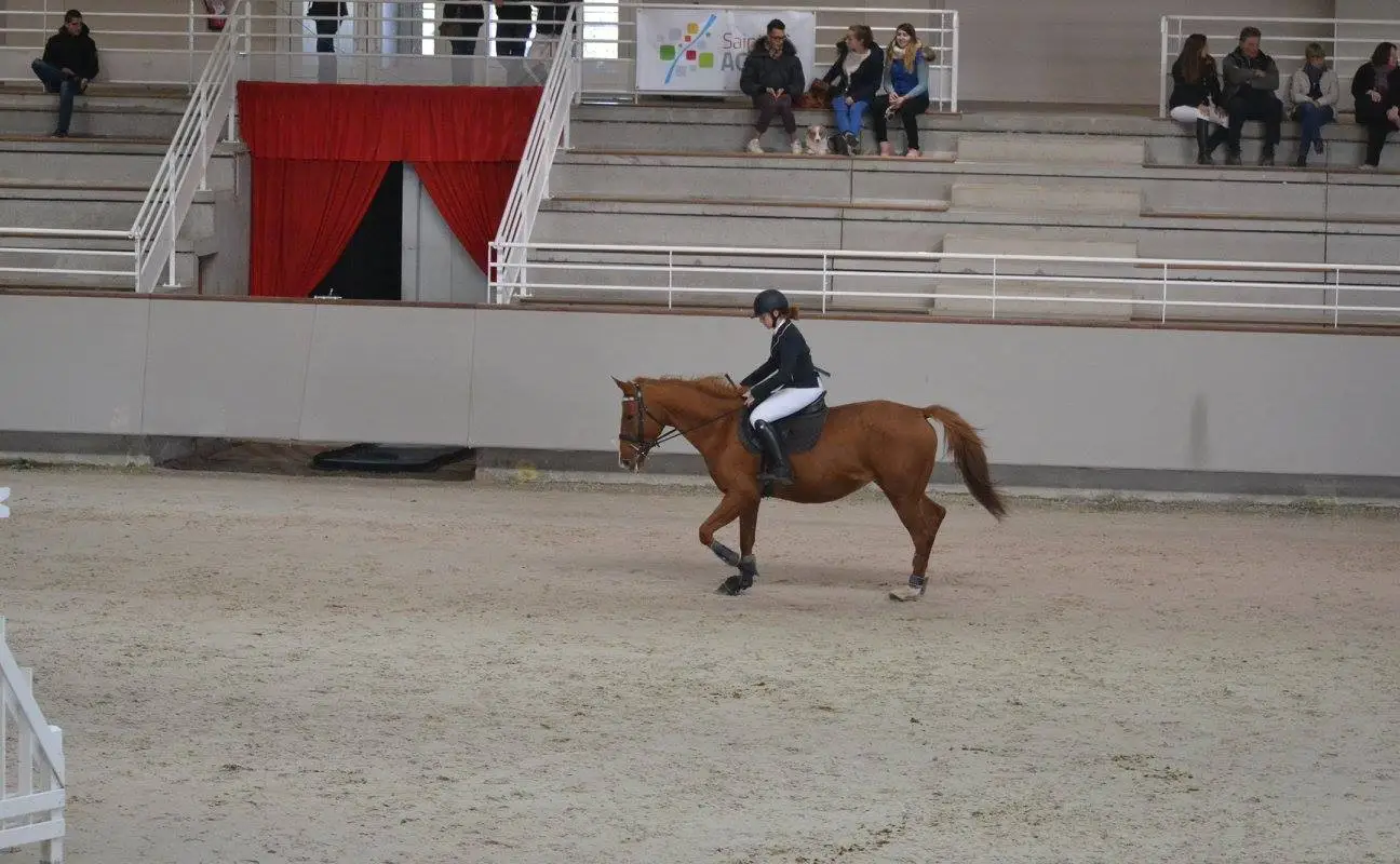 Equestrian Center Du Bief