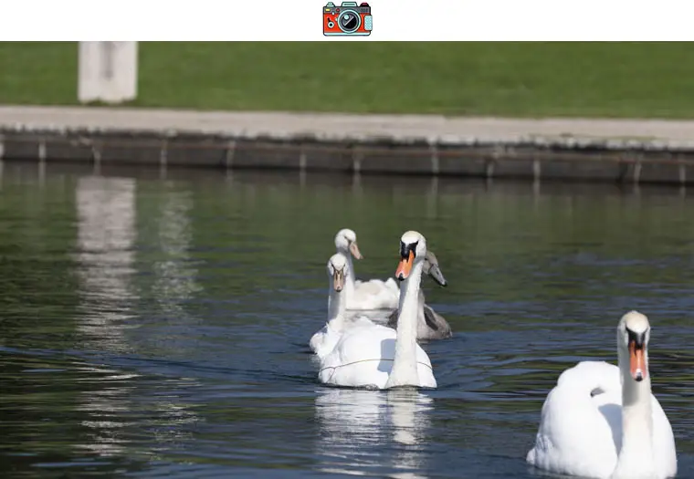 Club Nautique Divonne