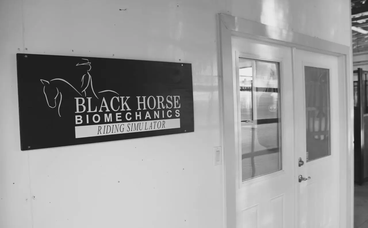 BLACK HORSE BIOMECHANICS