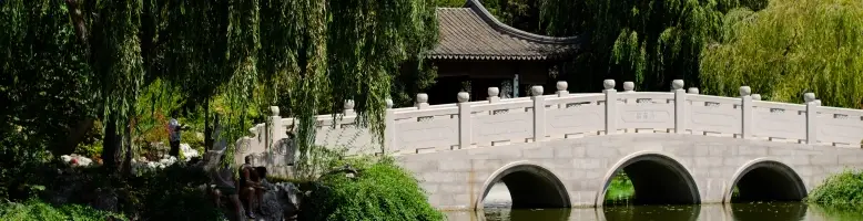Willow Tai Chi