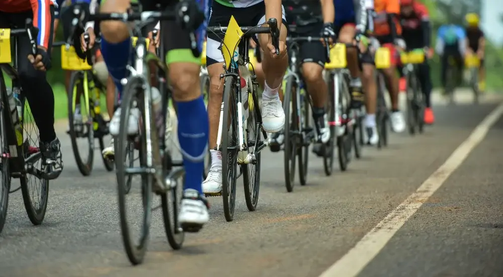 Cycle World Electronic_City - Largest Multi Brand Bicycle Store