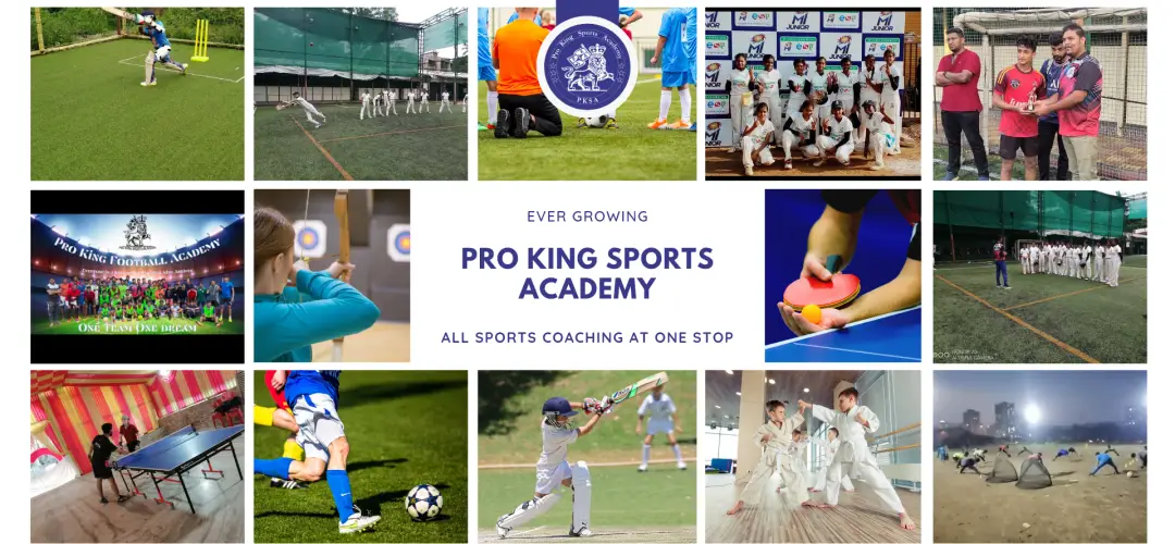 Pro King Karate Academy