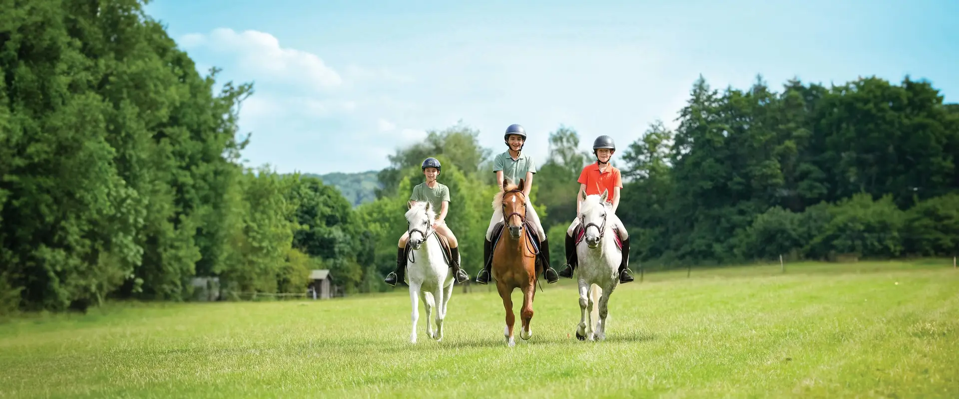 French Equestrian Federation F.F.E
