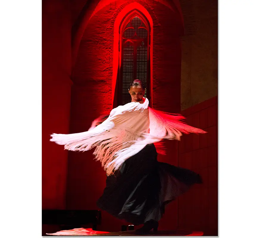 Espaces Flamenco Art&Danse