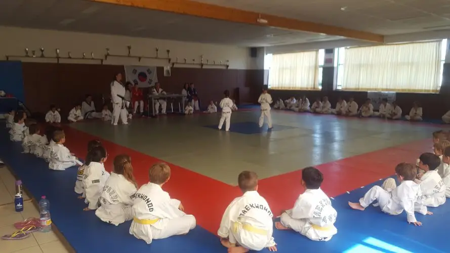 DALHAE TAEKWONDO St CYR SUR MER