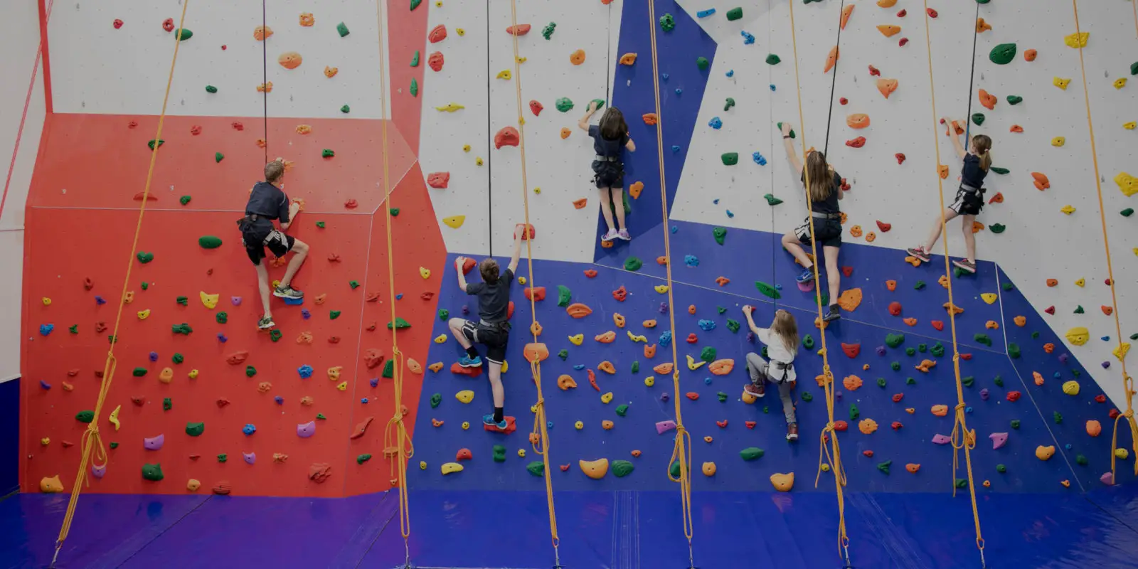 Lyce Climbing Wall