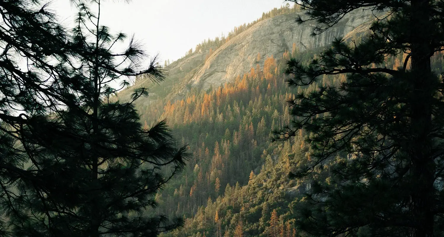Morehead Campground