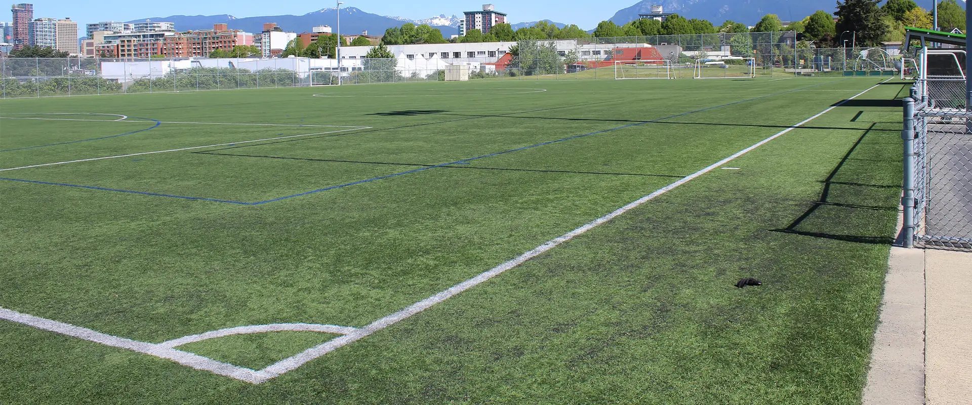 Trillium Turf