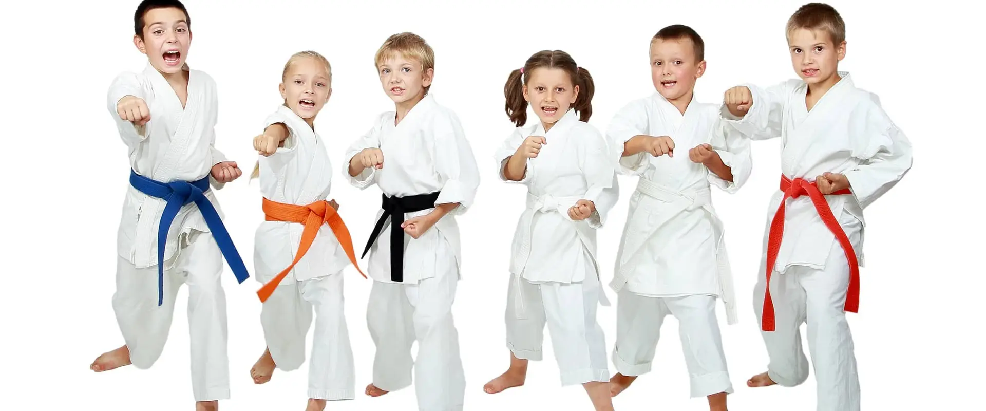 Tsawwassen Martial Arts