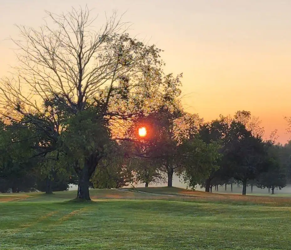 Markdale Golf and Curling Club