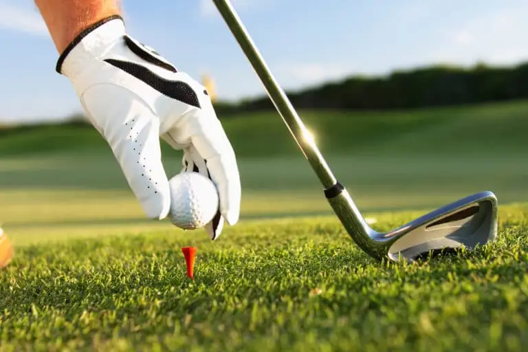 Stone Tree - Golf, Fitness and Banquets