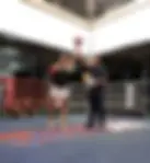 Fight Lab