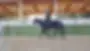 Thérapie avec le cheval, coaching, médiation, équitation, éthologie,
