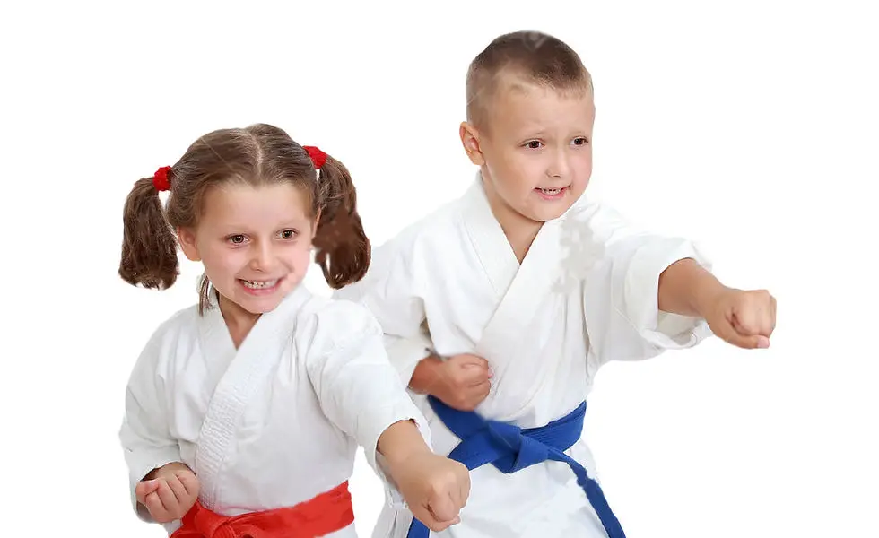 Traditional karate club