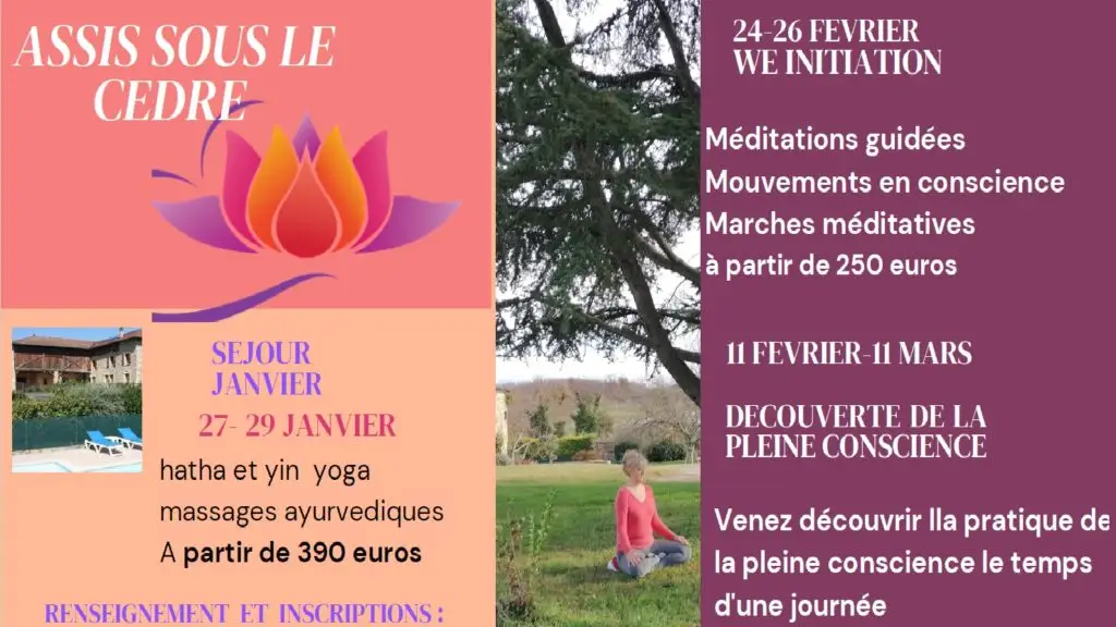 assis sous le cedre