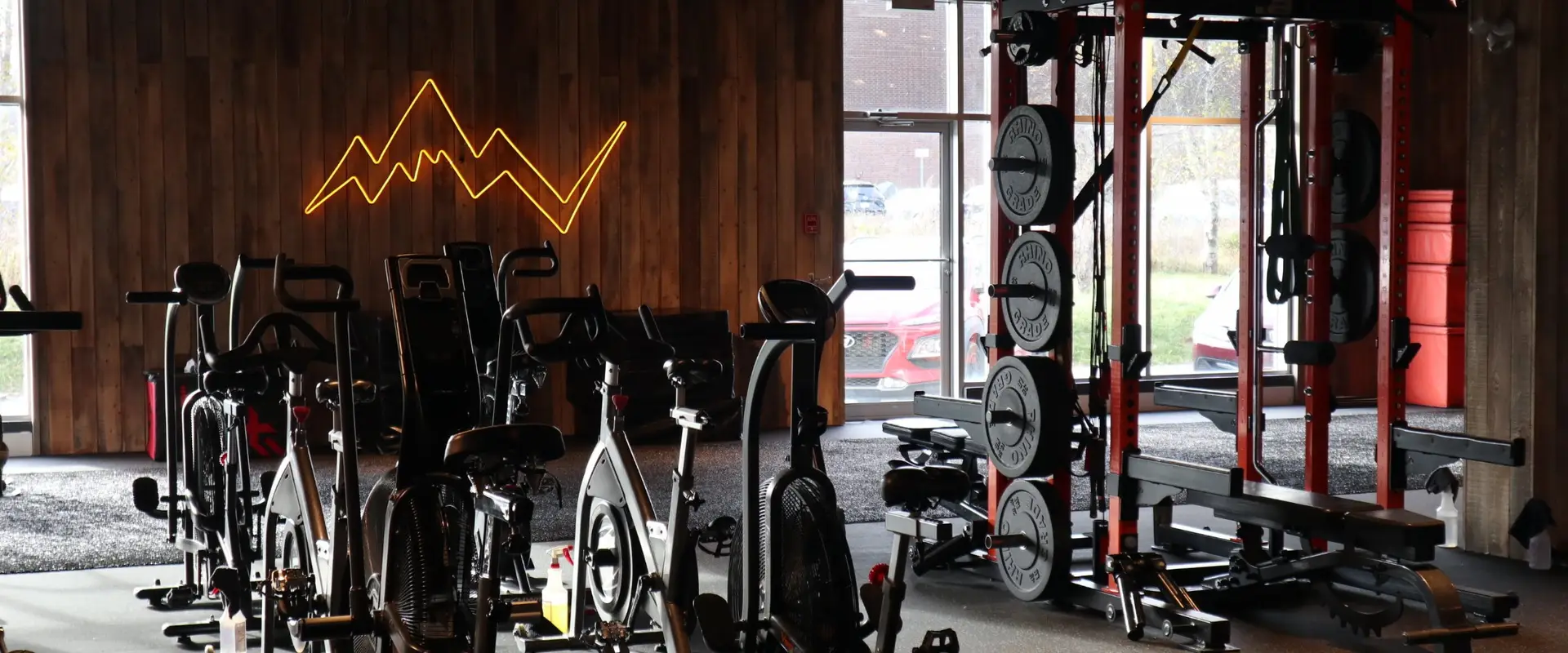 Proedge Elite Training