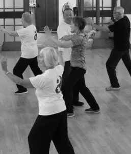 Traditional Chinese Wu Shu