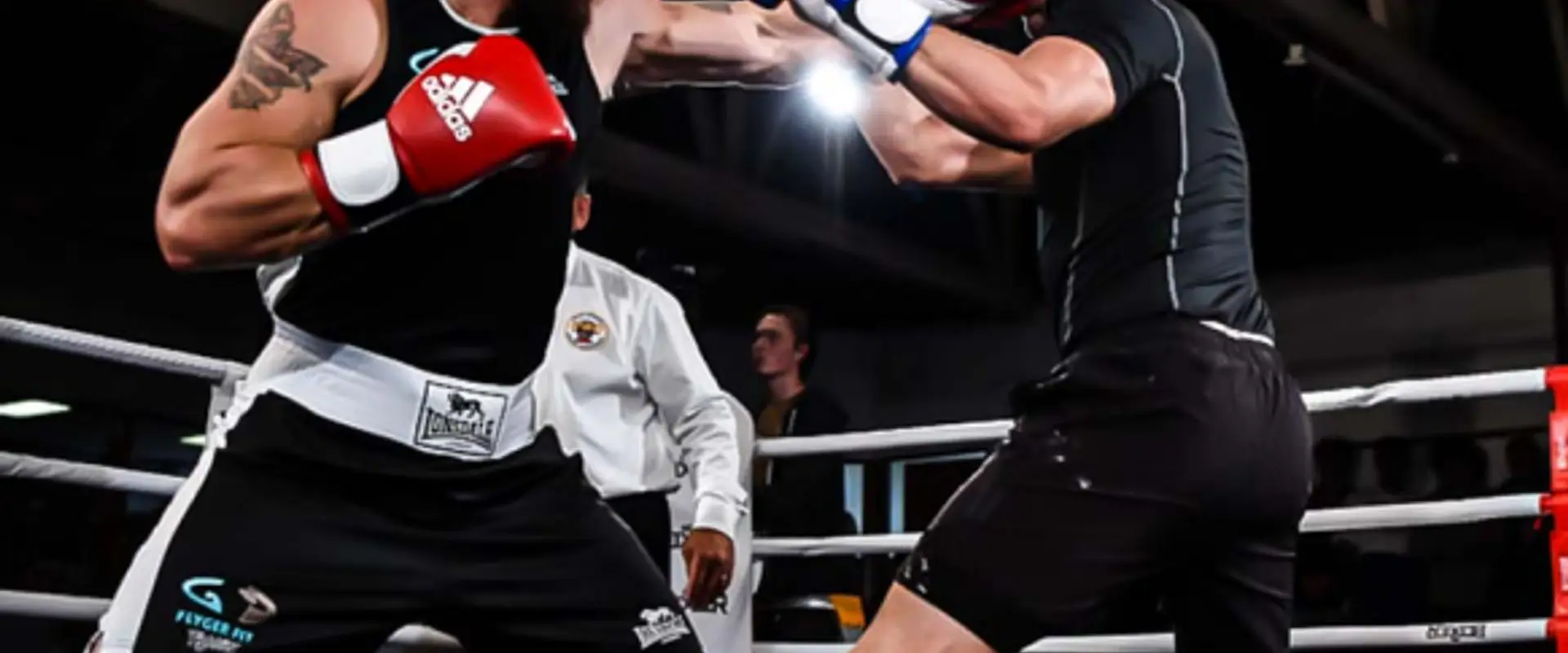 Glozier Boxing Glen Eden