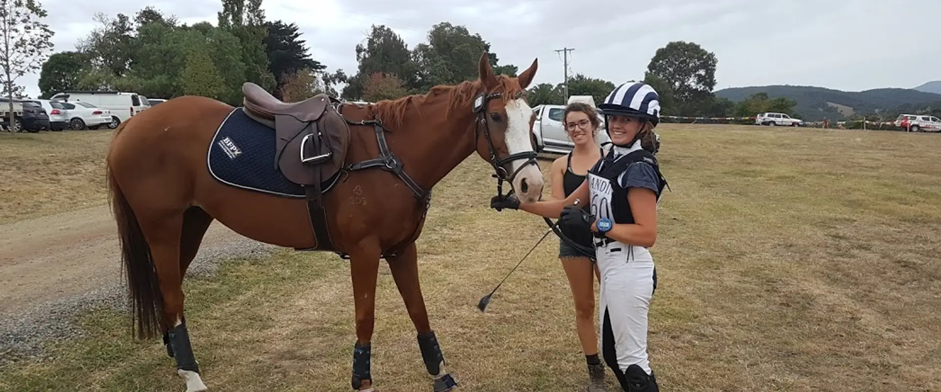 Sophia Hill Equestrian