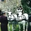 Bradbourne Riding & Training Centre