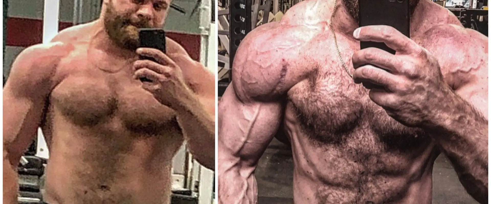 DAN PETKOVSEK