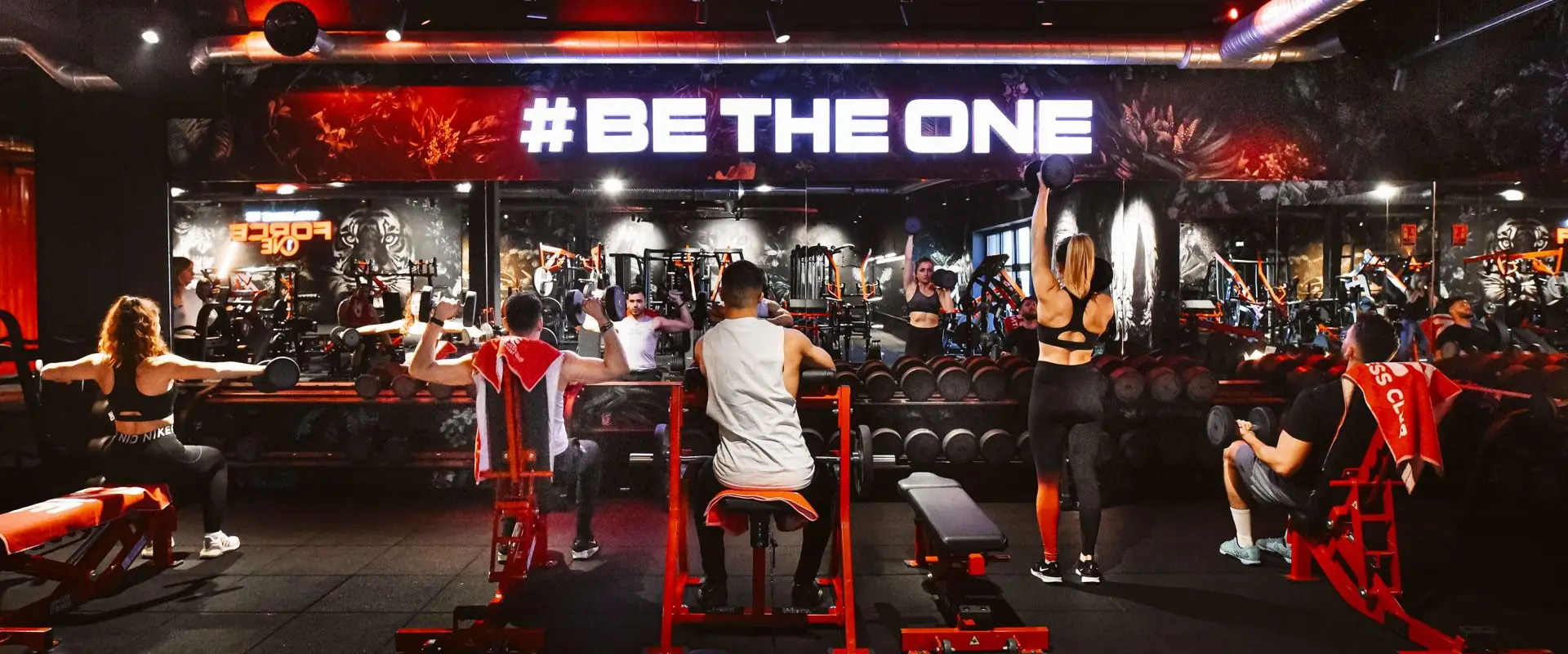 One Fitness Club Avignon