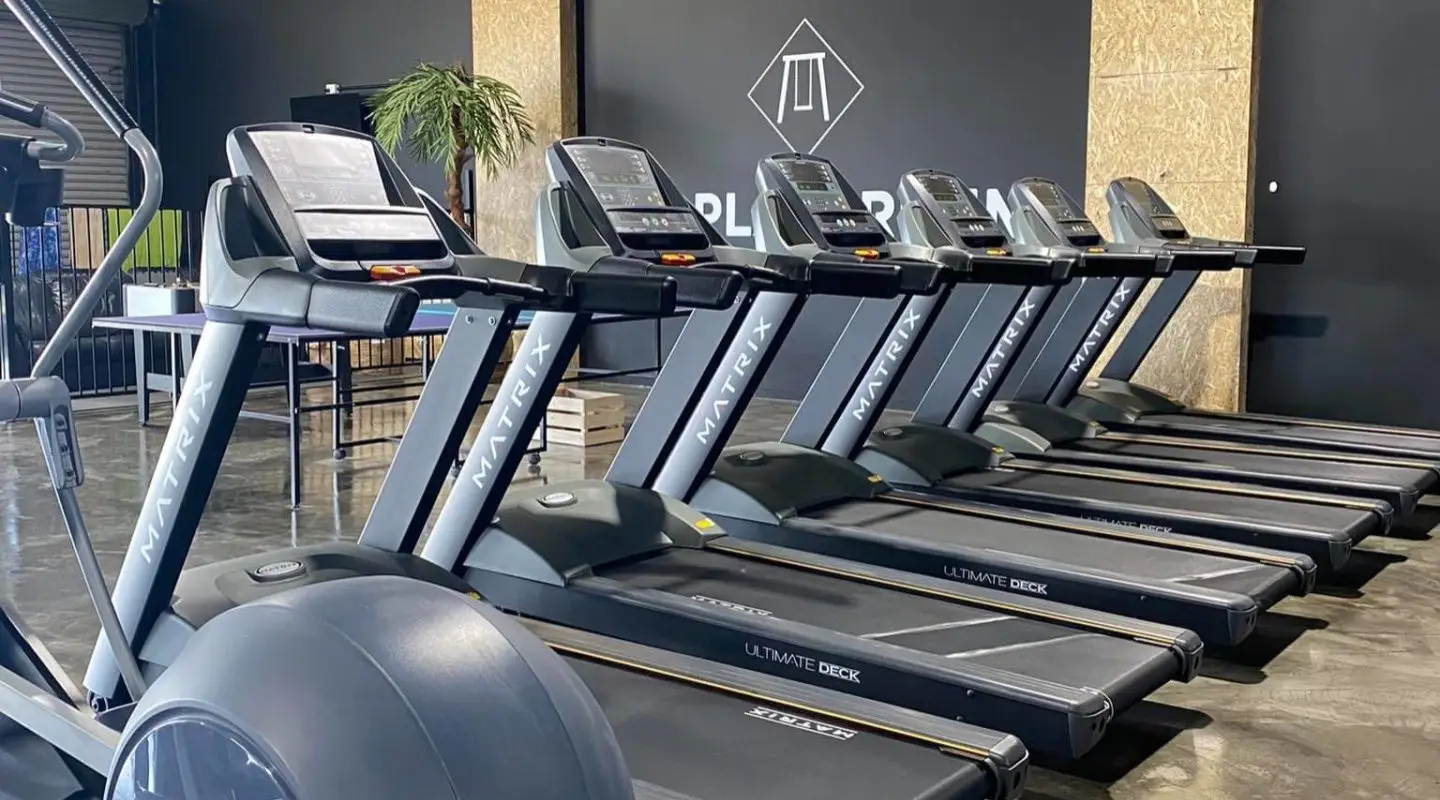 The Playground Gym