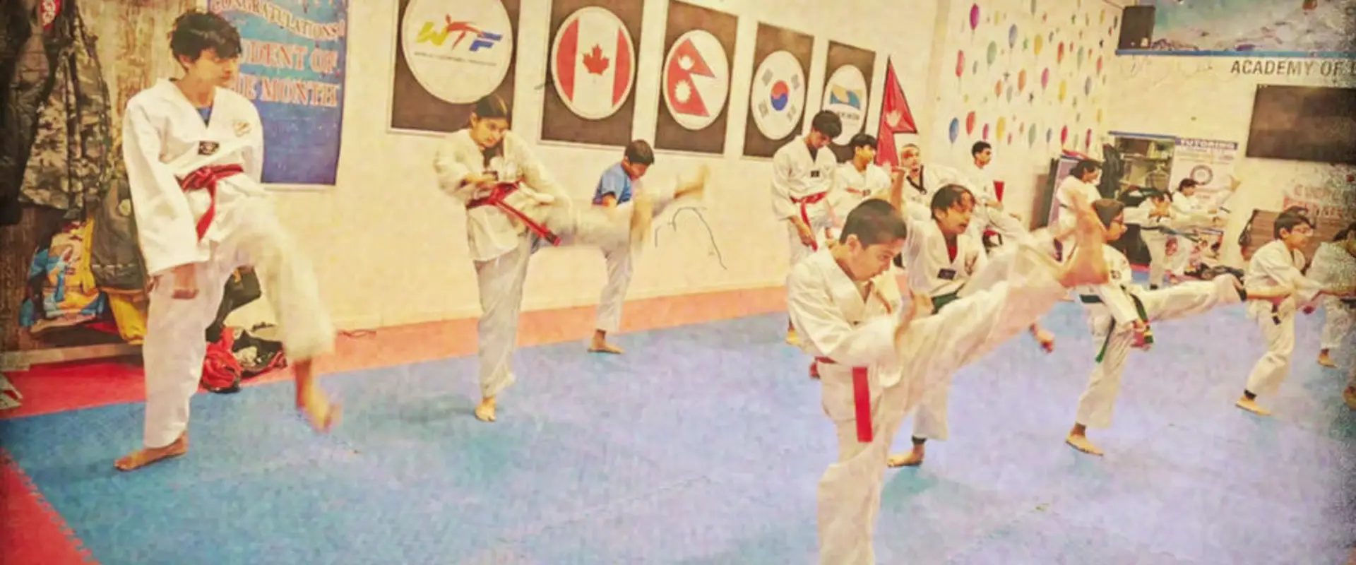 Everest Taekwondo Mississauga