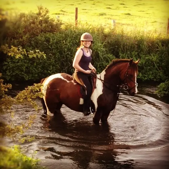 Feeneys Equestrian Centre Galway
