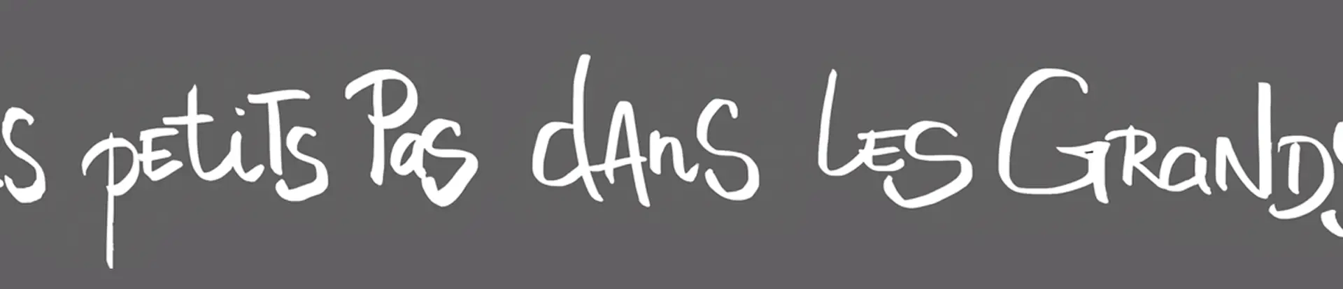 Dance Studio Les Petits Pas Dans Les Grands