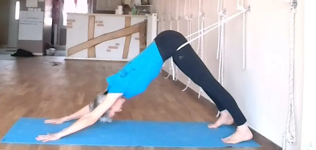Zao Yoga Iyengar