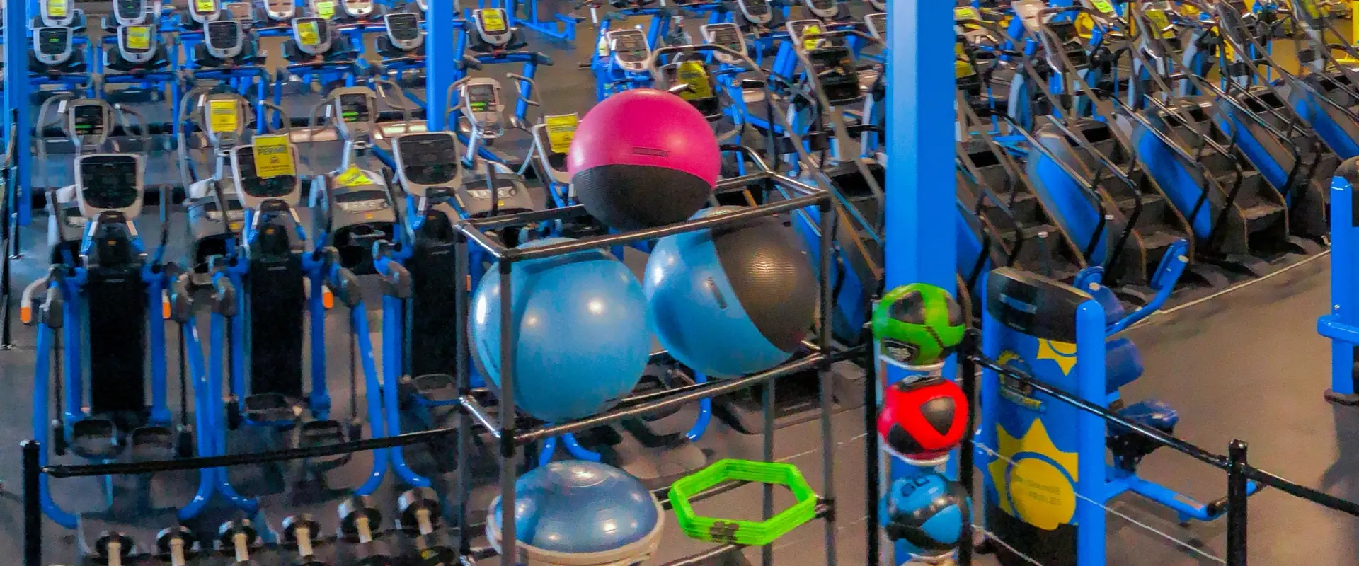 Buzzfit - Kirkland