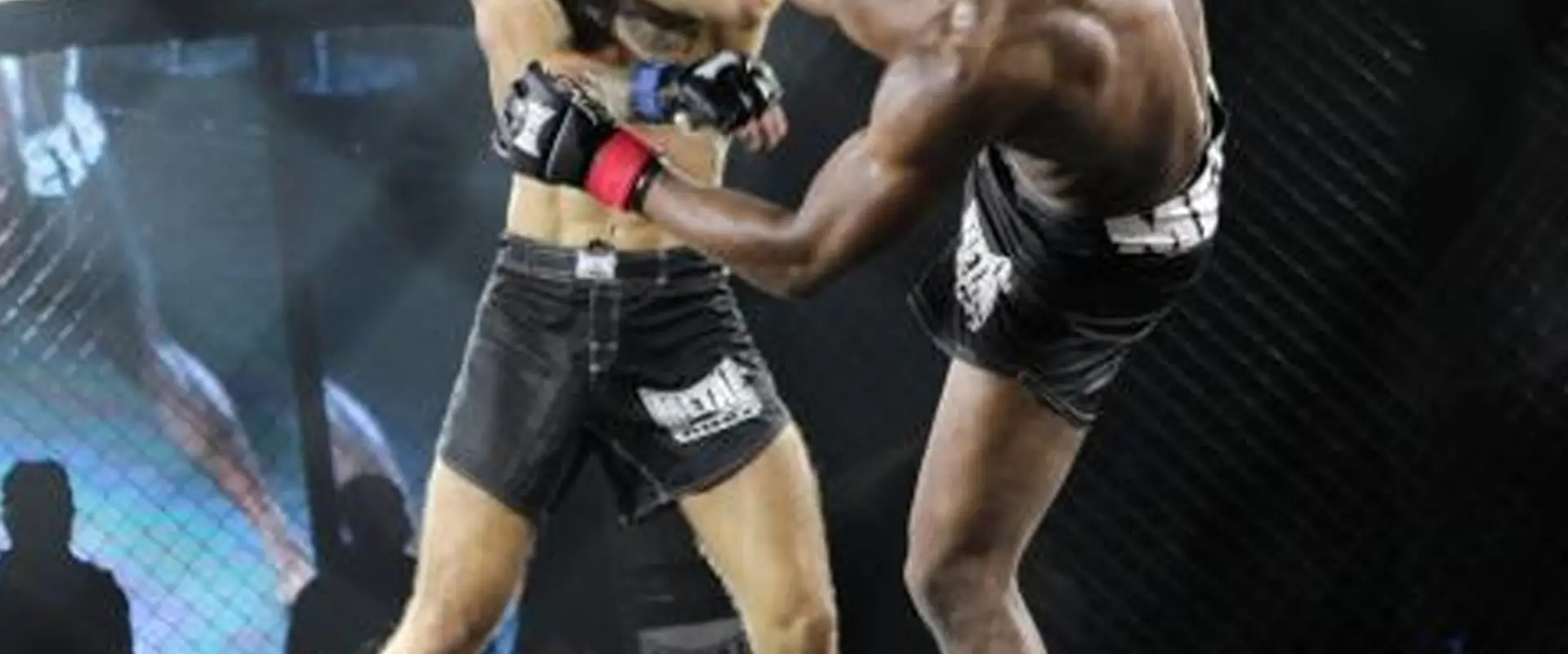 Ninja mixed martial arts and Fitness Academy Chennai