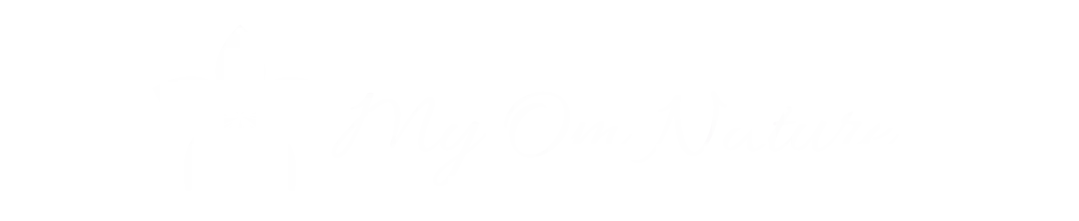 My Om Nature - Ayana Yoga