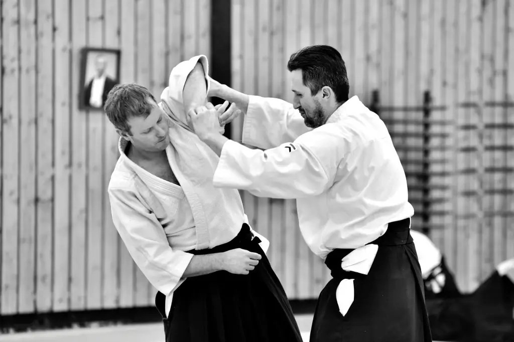 Association mouvalloise d'Aïkido