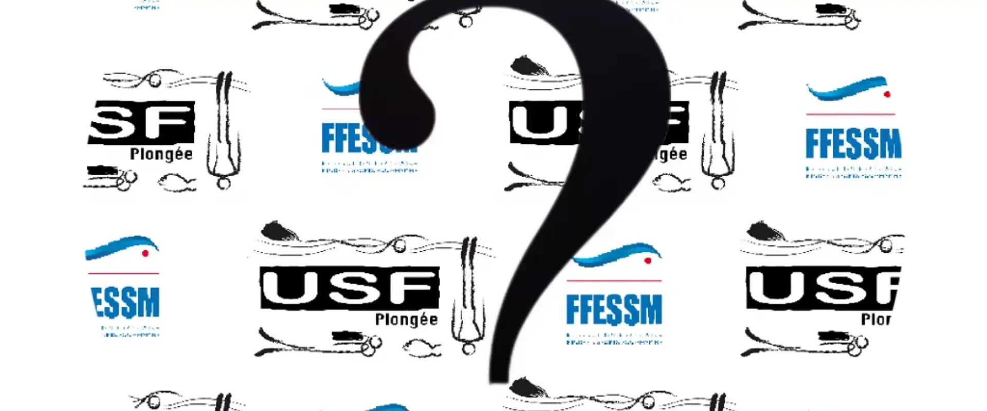 USF PLONGEE