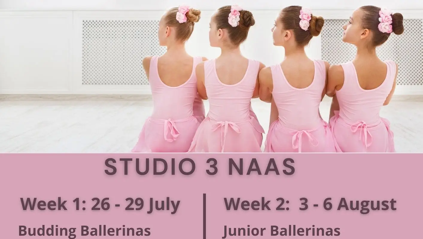 Anne Maher School of Ballet - Newbridge